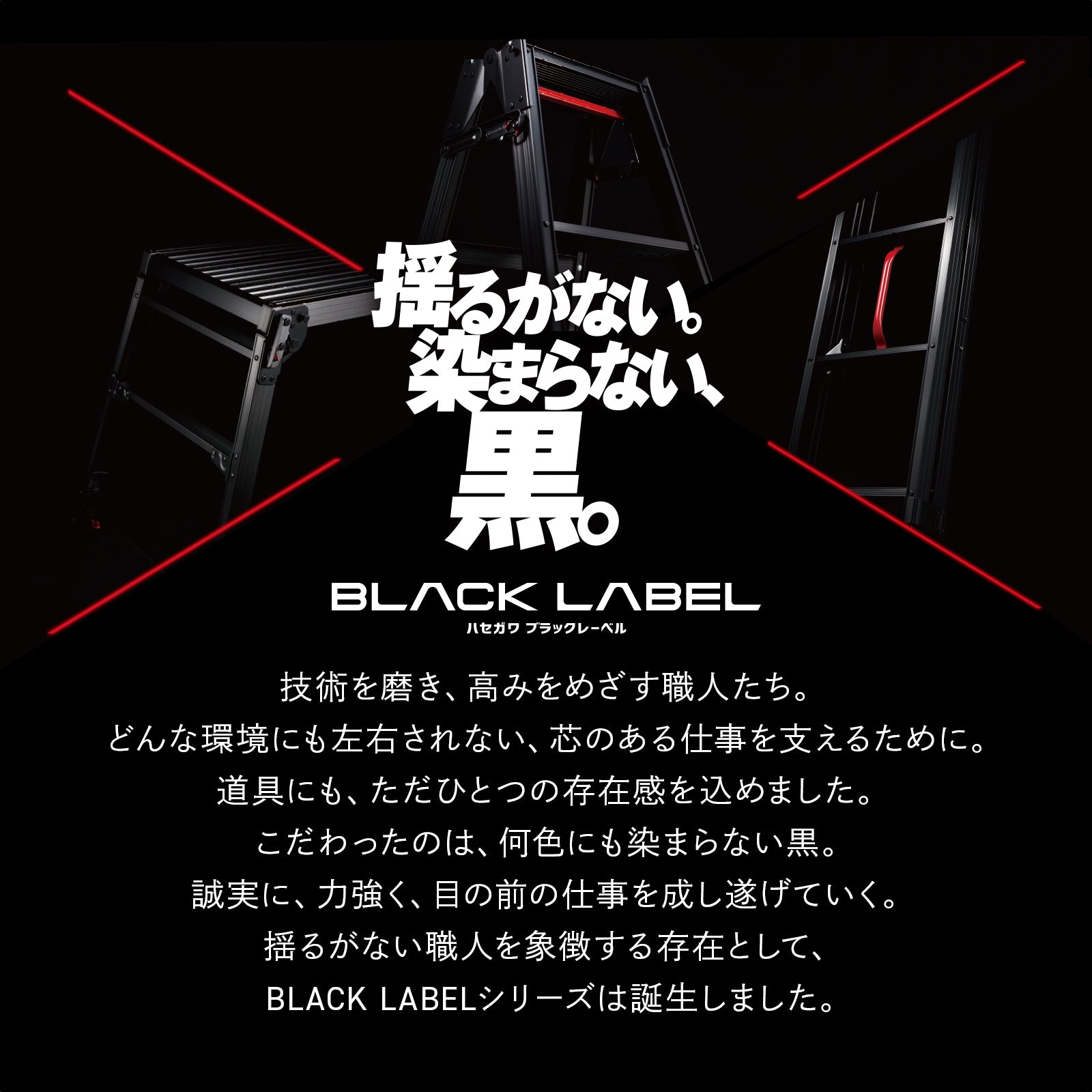 【公式】脚部伸縮２連はしご プッシュアップ式 BLACKLABEL